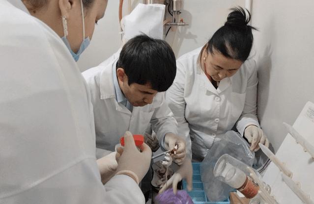 Mikrobiologiya, virusologiya va immunologiya kafedrasi