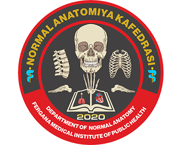 Normal anatomiya kafedrasi